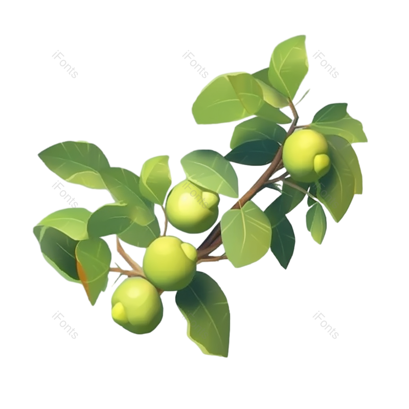 叶子图片,芒种元素,水果PNG,树叶免抠素材